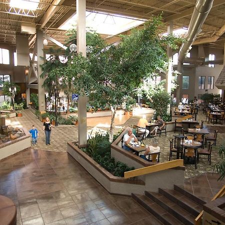فندق كولورادو سبرينغسفي  ذا أكاديمي هوتل كولورادو سبرينجز المطعم الصورة